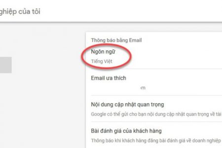 Thay đổi ngôn ngữ sang tiếng Việt